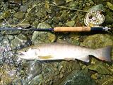 20140902ヤマメ40㎝