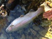 20141223レインボー50