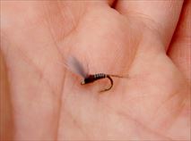 20150219ドライフライ2