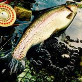 20150620レインボー2