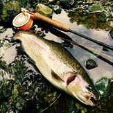 20150620レインボー3