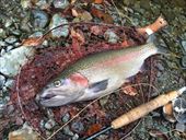 20151031レインボー40up