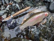 20151101レインボー2