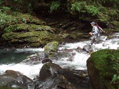 リバトレフィッシング