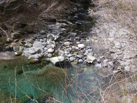 2009ヤマメ稚魚放流親子1