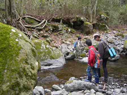 2009ヤマメ稚魚放流親子11