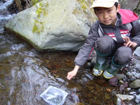 2009ヤマメ稚魚放流親子14