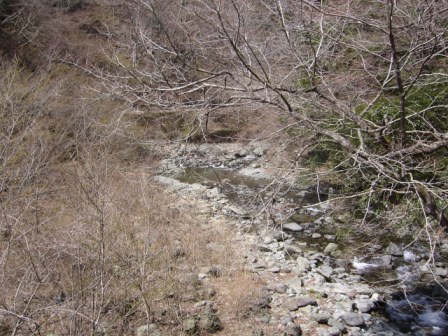 2009ヤマメ稚魚放流親子2