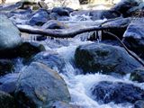 冬の渓流
